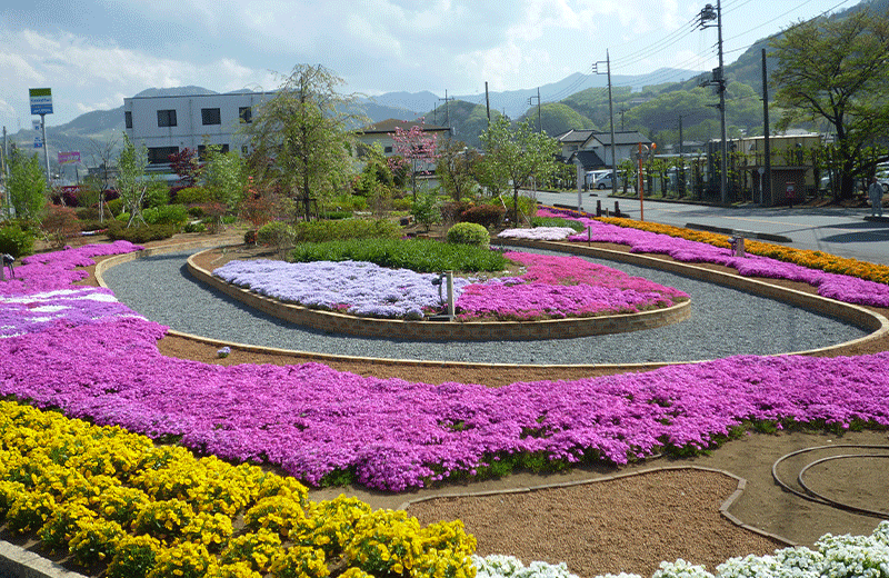 花の様子